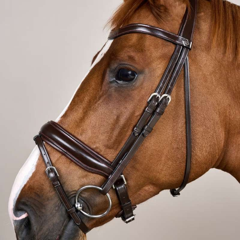 Dressage Bridle Matte Working Collection Brown