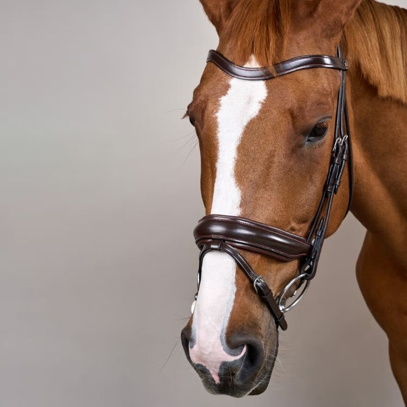 Dressage Bridle Matte Working Collection Brown