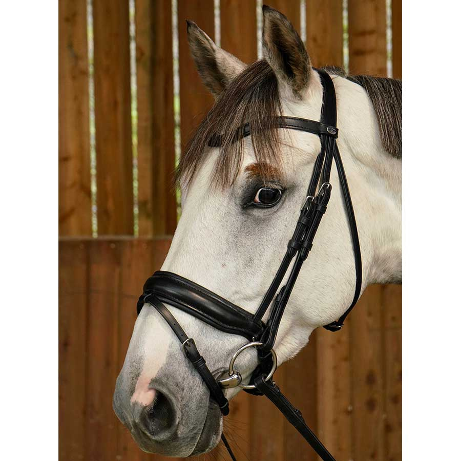 Dressage Bridle Matt WC Black