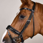 Dressage Bridle Matt WC Black Dressage Bridle Matt WC Black