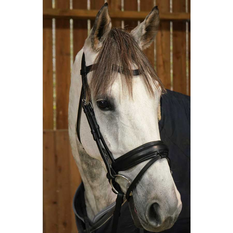 Dressage Bridle Matt WC Black
