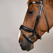 Dressage Bridle Matt WC Black Dressage Bridle Matt WC Black