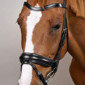 Dressage Bridle Matt WC Black Dressage Bridle Matt WC Black