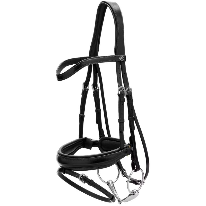 Dressage Bridle Matt WC Black