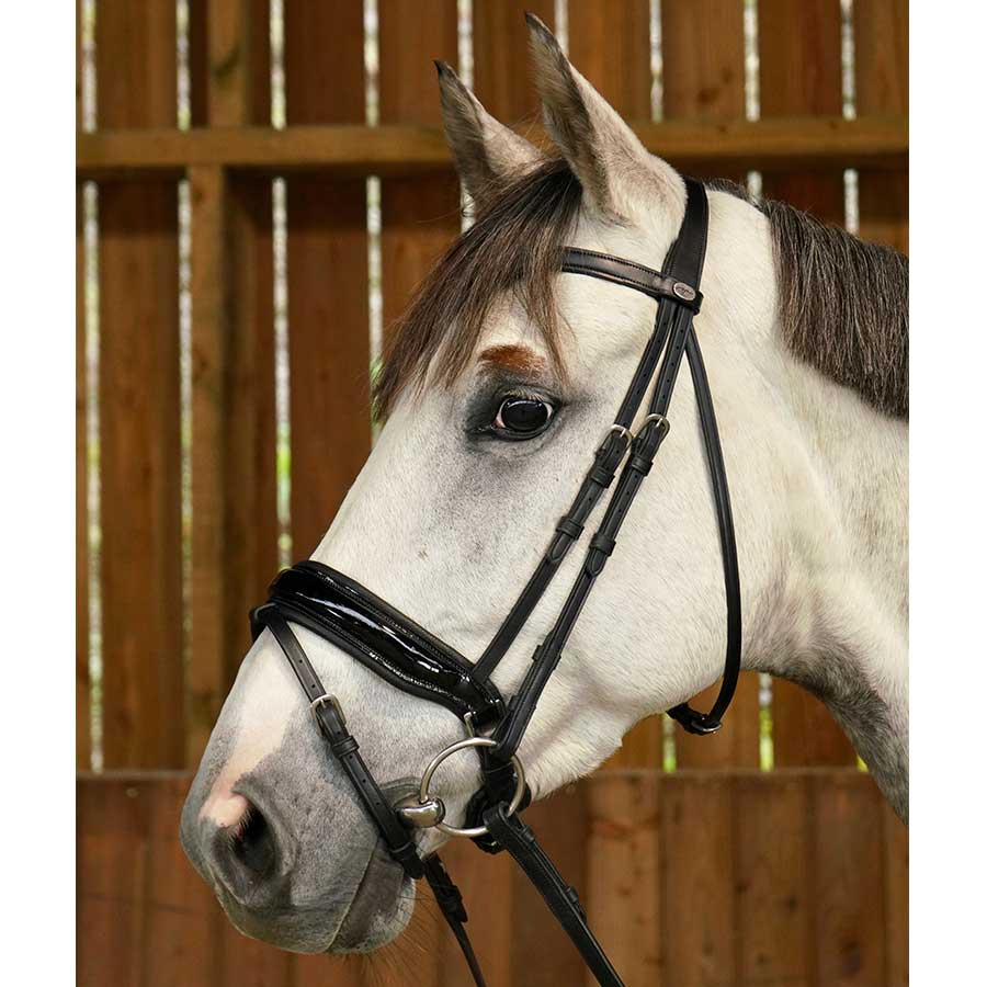 Dressage Bridle Glossy WC Black