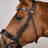 Dressage Bridle Glossy WC Black Dressage Bridle Glossy WC Black