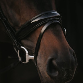Patent Dressage Bridle Working Collection Black Patent Dressage Bridle Working Collection Black