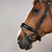 Dressage Bridle Glossy WC Black Dressage Bridle Glossy WC Black