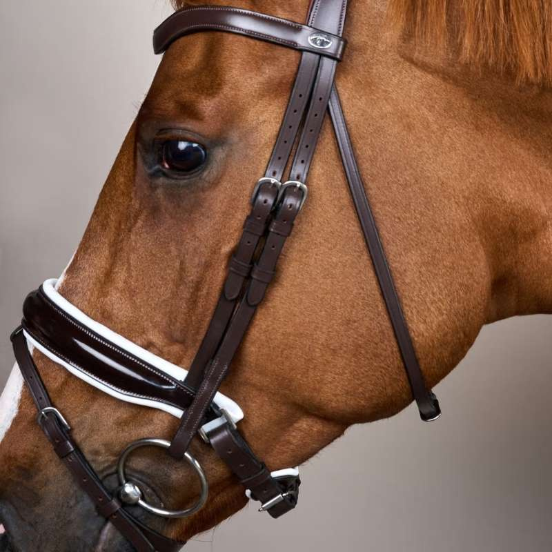 Patent Dressage Bridle with White Padding Collection Brown