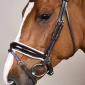 Patent Dressage Bridle with White Padding Collection Brown Patent Dressage Bridle with White Padding Collection Brown