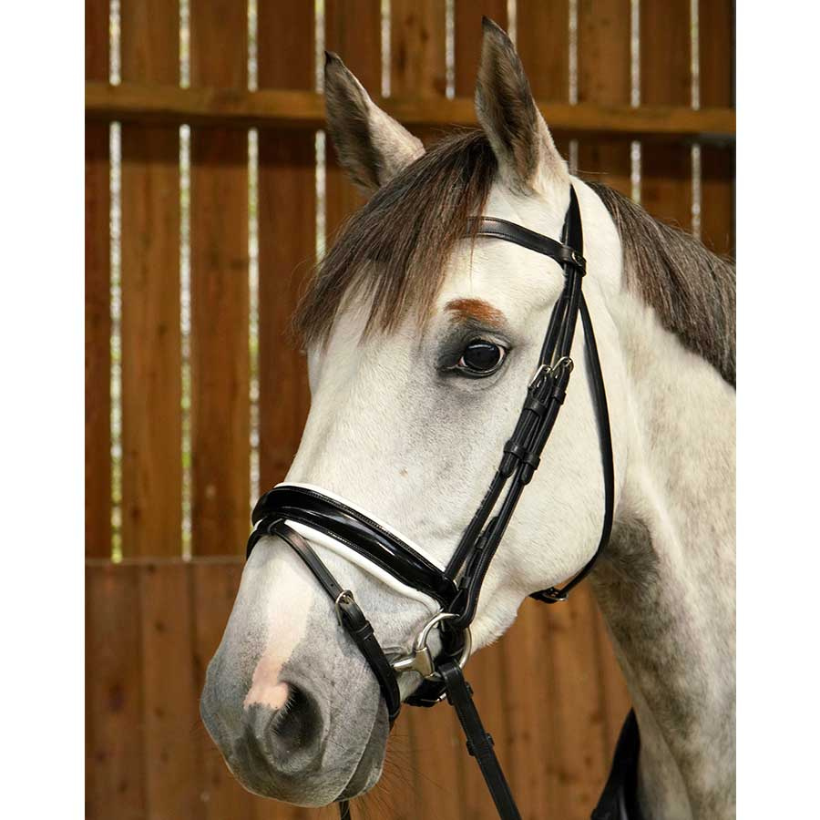 Dressage Bridle Glossy/White Padded WC Black