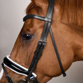 Dressage Bridle Glossy/White Padded WC Black Dressage Bridle Glossy/White Padded WC Black