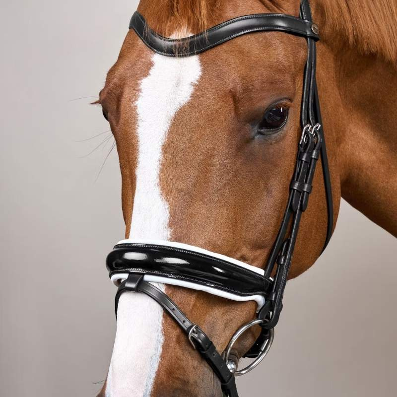 Dressage Bridle Glossy/White Padded WC Black