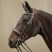 Double Bridle Matte Working Collection Brown Double Bridle Matte Working Collection Brown