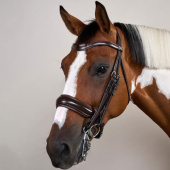 Double Bridle Matte Working Collection Brown Double Bridle Matte Working Collection Brown