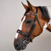 Double Bridle Matte Working Collection Brown Double Bridle Matte Working Collection Brown