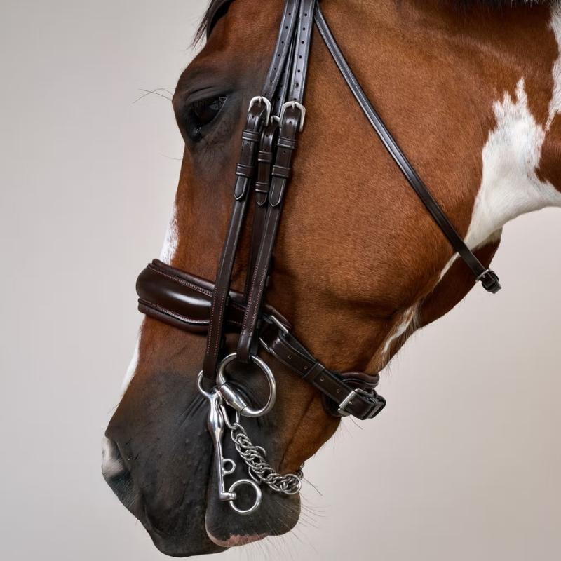 Double Bridle Matte Working Collection Brown