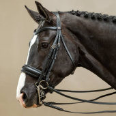Matte Double Bridle Working Collection Black Matte Double Bridle Working Collection Black