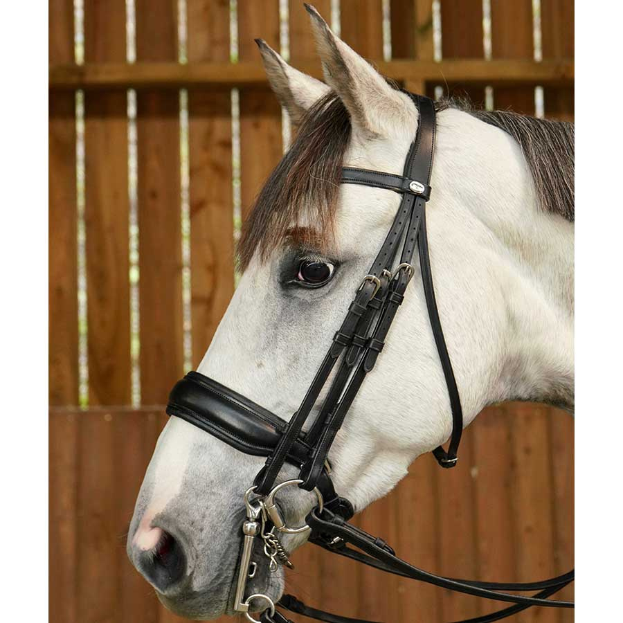 Weymouth Bridle Matt WC Black