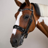 Weymouth Bridle Matt WC Black Weymouth Bridle Matt WC Black