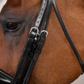 Weymouth Bridle Matt WC Black Weymouth Bridle Matt WC Black