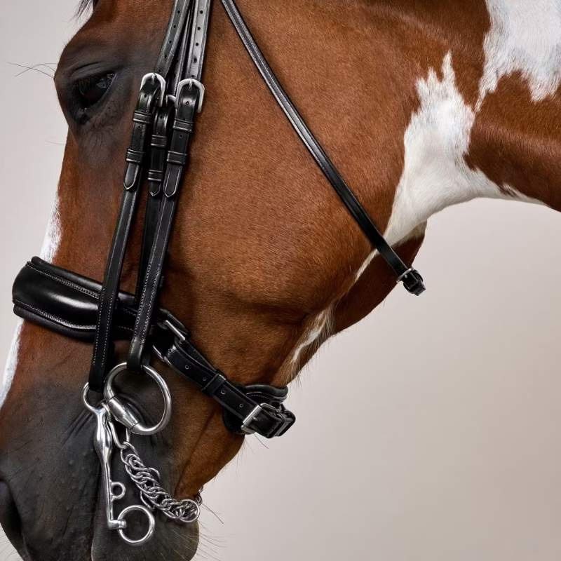 Weymouth Bridle Matt WC Black