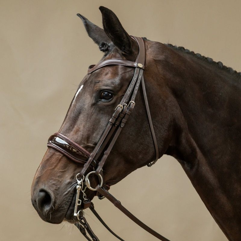 Patent Double Bridle Working Collection Brown