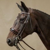 Patent Double Bridle Working Collection Brown Patent Double Bridle Working Collection Brown