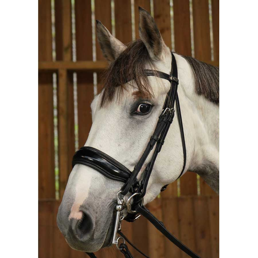 Weymouth Bridle Glossy WC Black