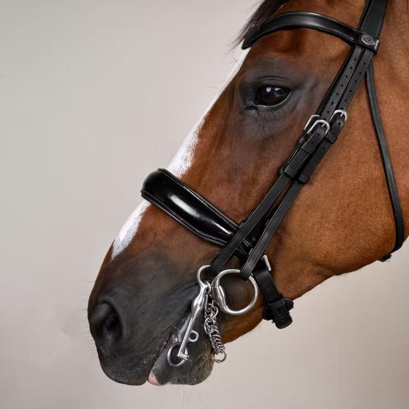 Weymouth Bridle Glossy WC Black