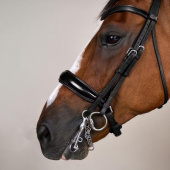 Weymouth Bridle Glossy WC Black Weymouth Bridle Glossy WC Black
