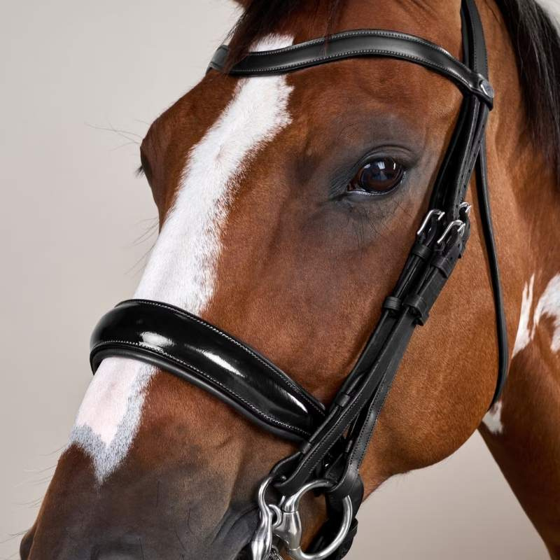 Weymouth Bridle Glossy WC Black