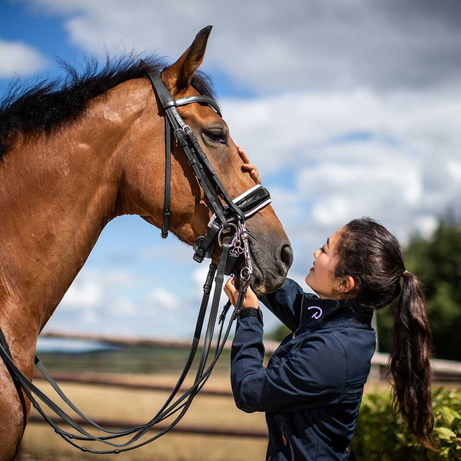 Weymouth Bridle Glossy/White Padded WC Black