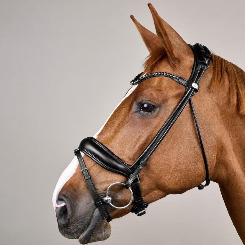 Dressage Bridle ComfoHead Working Collection Black