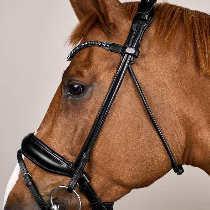 Dressage Bridle ComfoHead Working Collection Black
