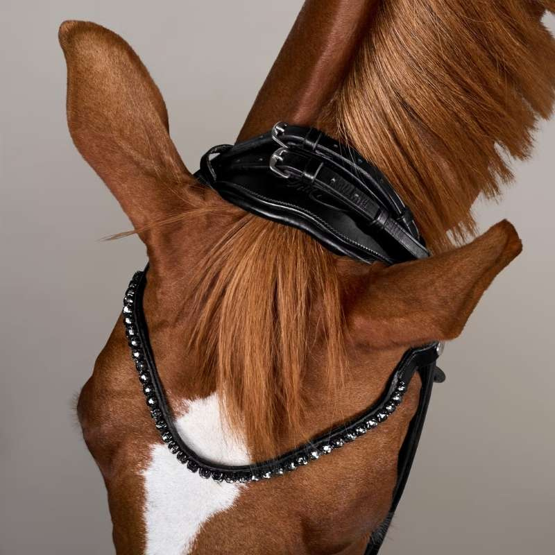 Dressage Bridle ComfoHead Working Collection Black