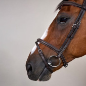 Combined Noseband Bridle WC Brown Combined Noseband Bridle WC Brown