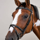 Combined Noseband Bridle WC Black Combined Noseband Bridle WC Black