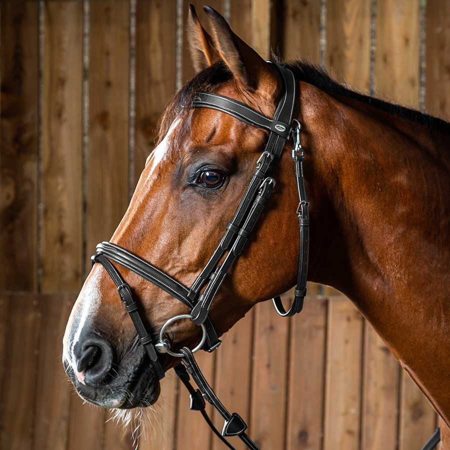 Combined Noseband Bridle WC Black