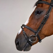 Combined Noseband Bridle WC Black Combined Noseband Bridle WC Black