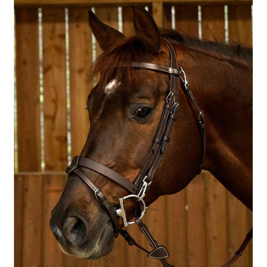 Smooth Noseband Bridle WC Brown