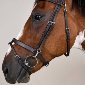 Smooth Noseband Bridle WC Brown Smooth Noseband Bridle WC Brown