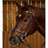 Smooth Noseband Bridle WC Brown