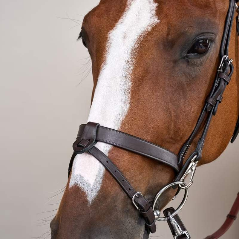 Smooth Noseband Bridle WC Brown
