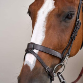 Smooth Noseband Bridle WC Brown Smooth Noseband Bridle WC Brown