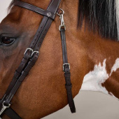 Smooth Noseband Bridle WC Brown Smooth Noseband Bridle WC Brown
