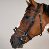 Smooth Noseband Bridle WC Black Smooth Noseband Bridle WC Black