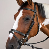 Smooth Noseband Bridle WC Black Smooth Noseband Bridle WC Black