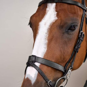 Smooth Noseband Bridle WC Black Smooth Noseband Bridle WC Black