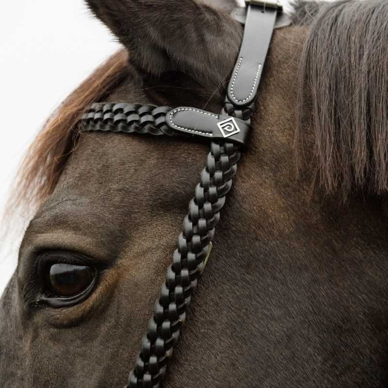 Bridle Plaited Training Working Collection Black